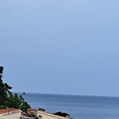 Apartamento The Four Fish Petrovac Exterior foto